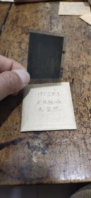 五十年代——亭亭照相馆——雨花台留影底片
