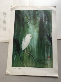 现代中国画选（第三辑）（人民美术出版社1979年一版一印）之：白鹭