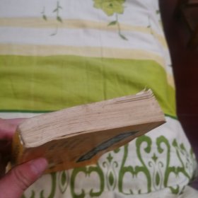 中国气功四大经典讲解