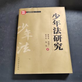 少年法研究