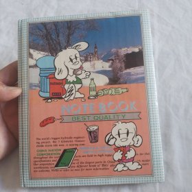 女孩恋爱感情日记（24开精装本，写了近半本）