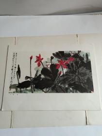 1982年印刷的8开老画一张，黄独峰（荷花）