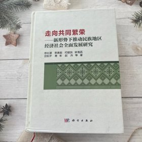 走向共同繁荣——新形势下推动民族地区经济社会全面发展研究