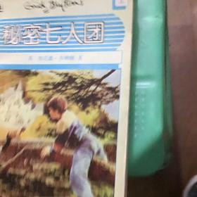 秘密七人团（上中下）：Secret Seven