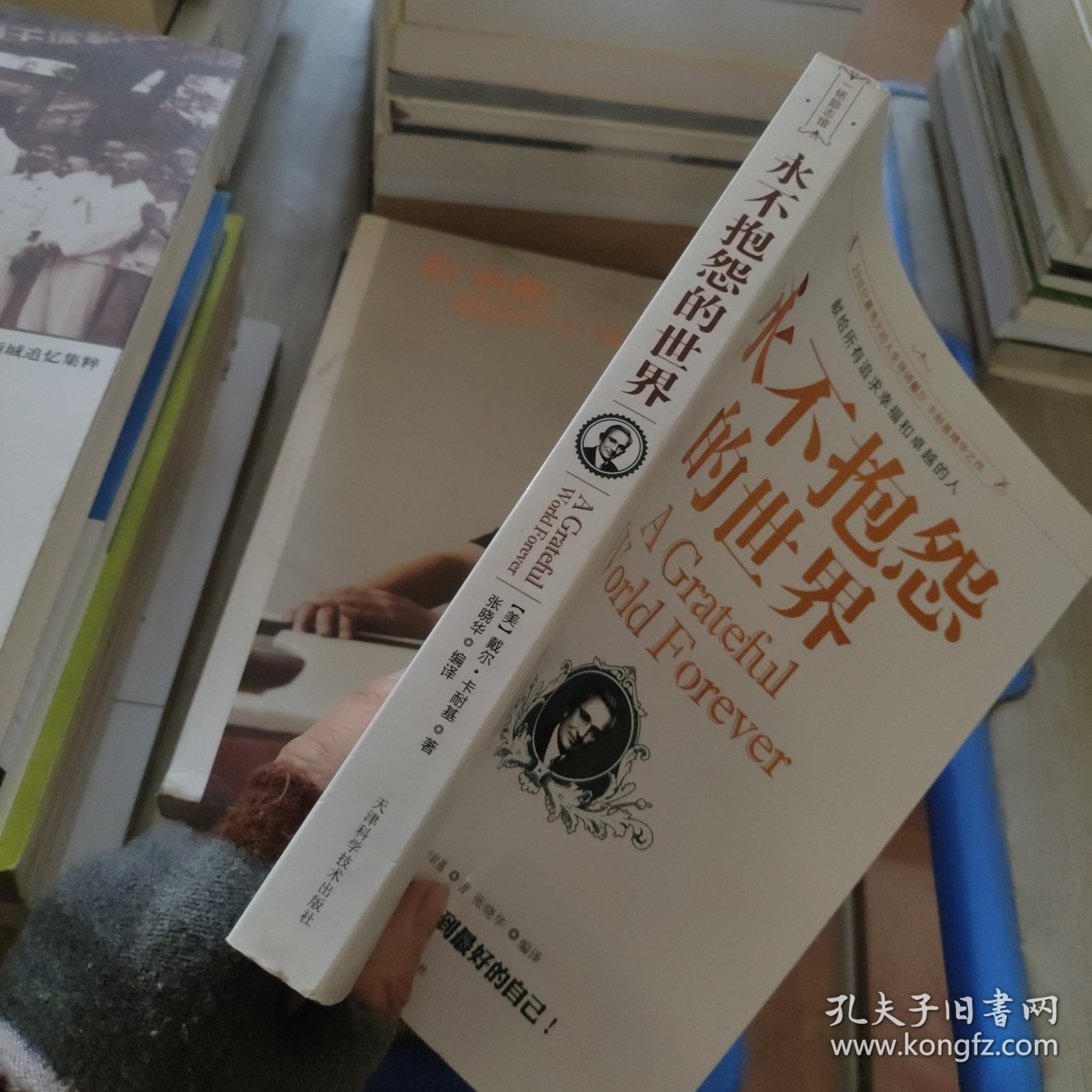 永不抱怨的世界：世界上最畅销的人生成功心理学！