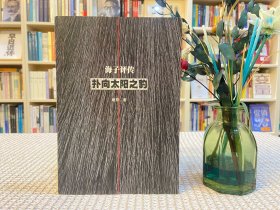 扑向太阳之豹：海子评传