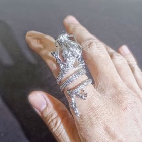 爆款戒指男钛钢纯银霸气龙朋克ins潮小众设计时尚个性质感食指环