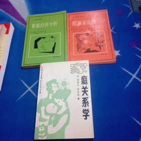 欧洲家庭史、家庭经济分析——20世纪文库 3 册合售！家庭关系学