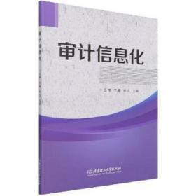 审计信息化 大中专文科社科综合 主编王伟, 王静, 林文 新华正版