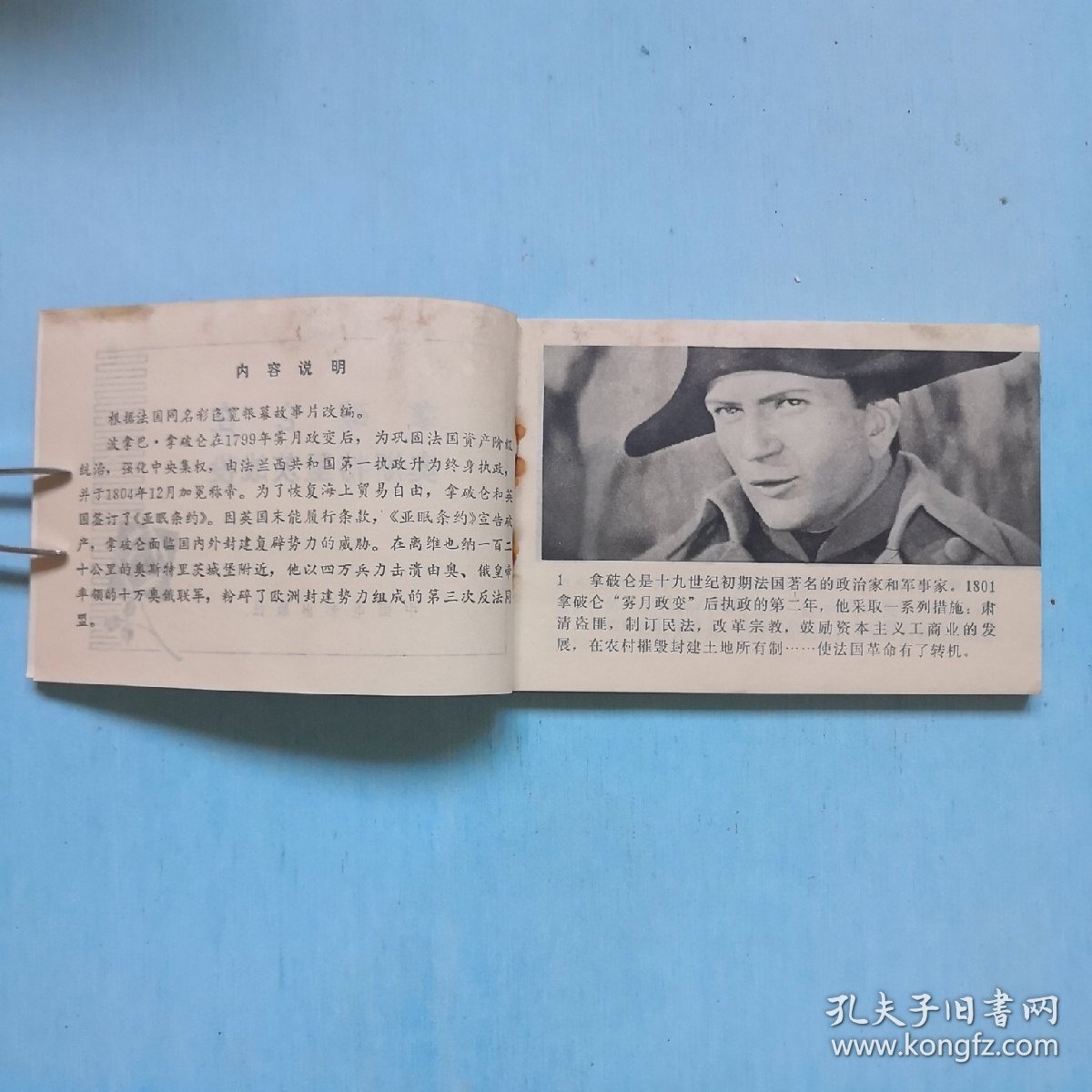 点击查看原图 拿破仑在奥斯特里茨战役