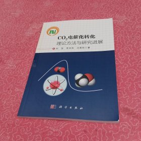 CO2电催化转化：理论方法与研究进展