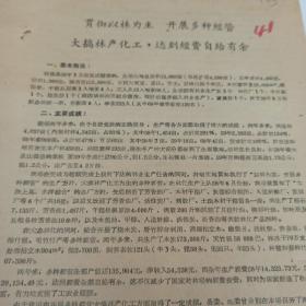 1960年 林业资料 浙江省宁波市天童林场