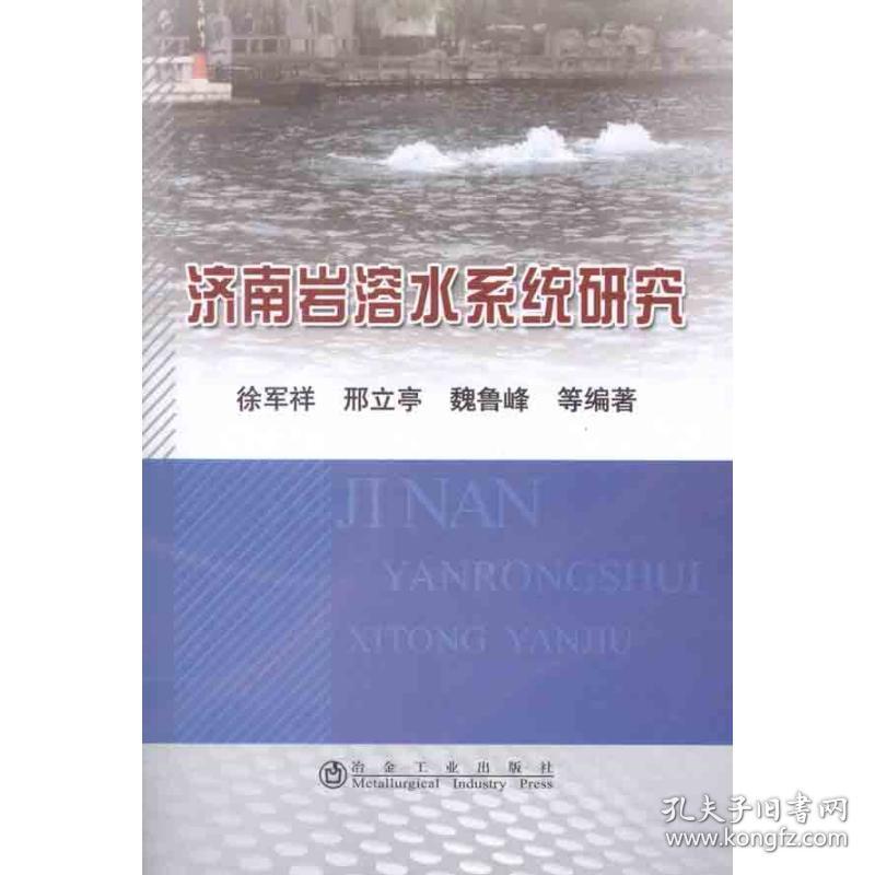 新华正版 济南岩溶水系统研究 徐军祥　等 9787502458515 冶金工业出版社 2012-03-01