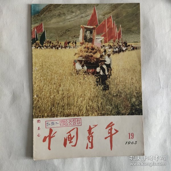 中国青年杂志 1963年第19期