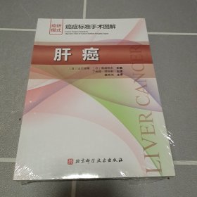 肝癌癌症标准手术图解 日山口俊晴，日斋浦明夫 著 丁光辉项灿宏 译