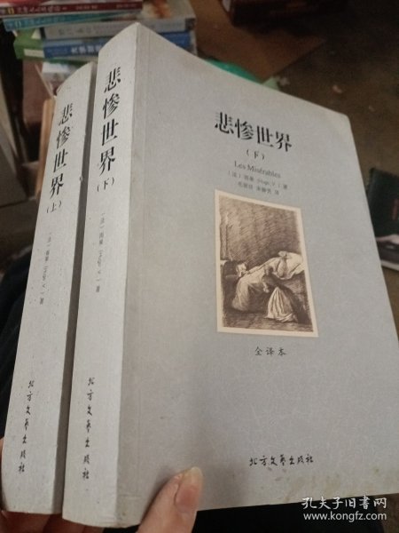 世界文学名著:悲惨世界(全译本)(套装共2册)