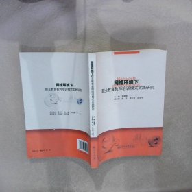 网络环境下职业教育教师培训模式实践研究 袁南辉 9787566812780 暨南大学出版社