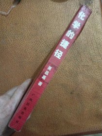 化学的捷径：开创学习化学的新纪元