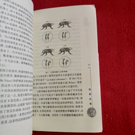 传承生命：遗传与基因