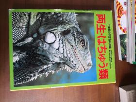 小学馆の学习百科图鉴 36：两栖-爬虫类 （日文原版）