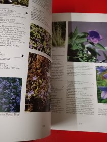 ENCYCLOPEDIA OF FLOWERS 植物百科鲜花，超过1000种