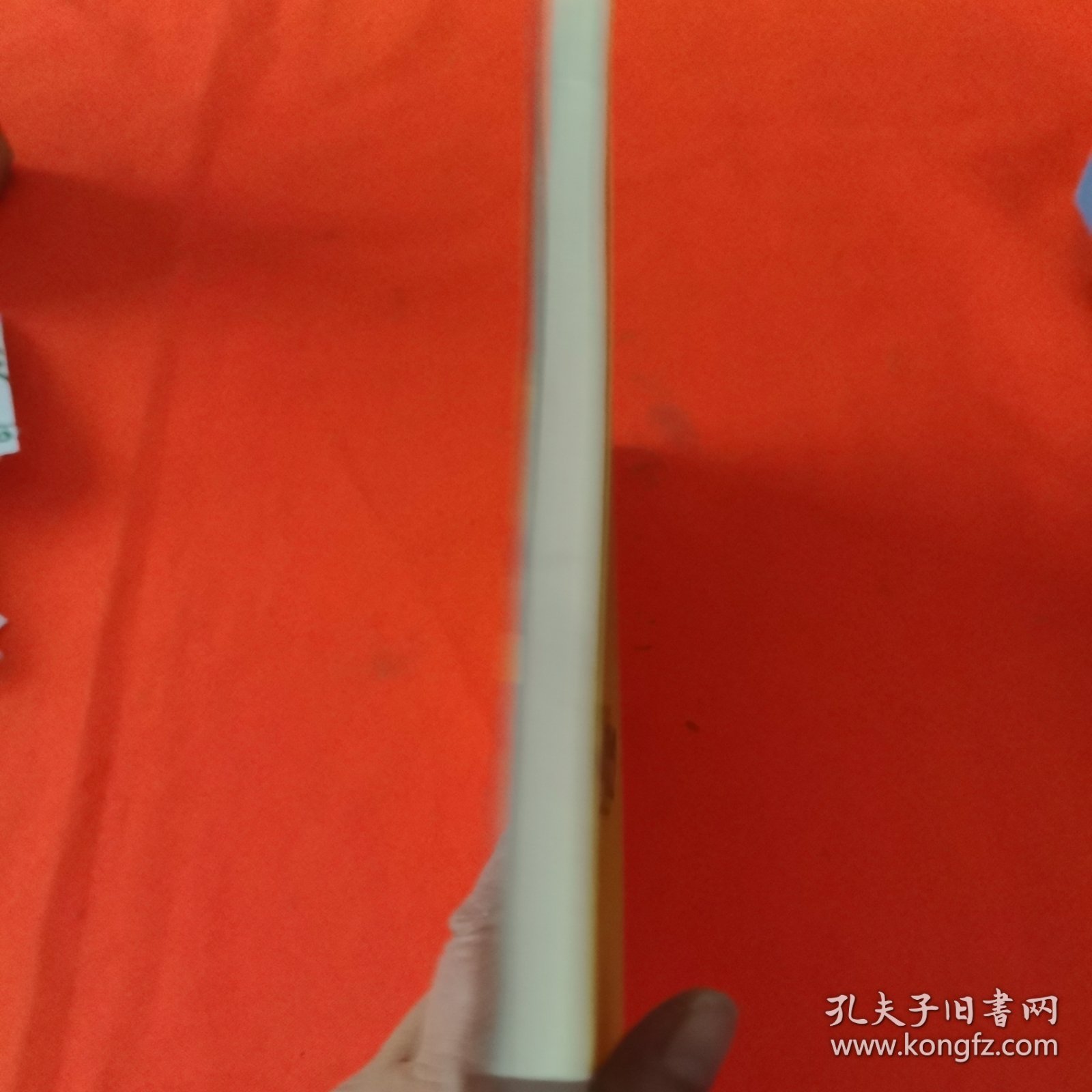成功的序位：企业管理中的隐秘力量