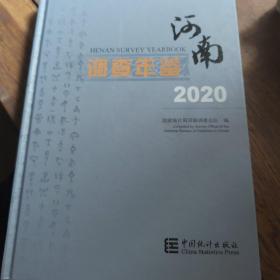 河南调查年鉴(附光盘2020汉英对照)(精)