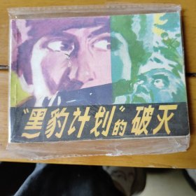 “黑豹计划”的破灭