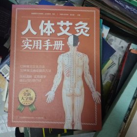 人体艾灸实用手册