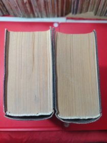 中华大字典(缩印本全二册)