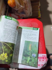 果实类中草药彩色图鉴