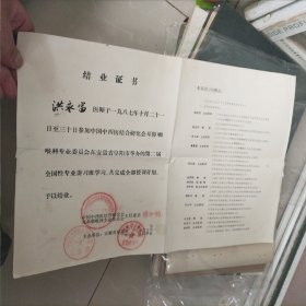 （医师洪先生）结业证书，1987年中国中西医结合研究会 耳鼻喉科专业委员会主任委员杨先生签发，38.5X26cm