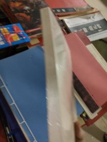 重庆古城渝中 康聪斌