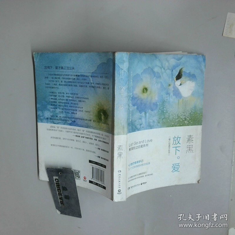 放下 爱 暖心经典手绘本