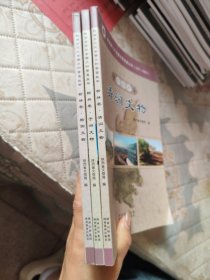 陕西省第三次全国文物普查丛书. 榆林卷. 清涧文物，榆阳文物，子洲文物，三册
