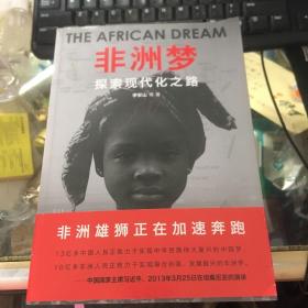 非洲梦：探索现代化之路