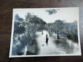 广西灵渠灌区人民在捕鱼老照片