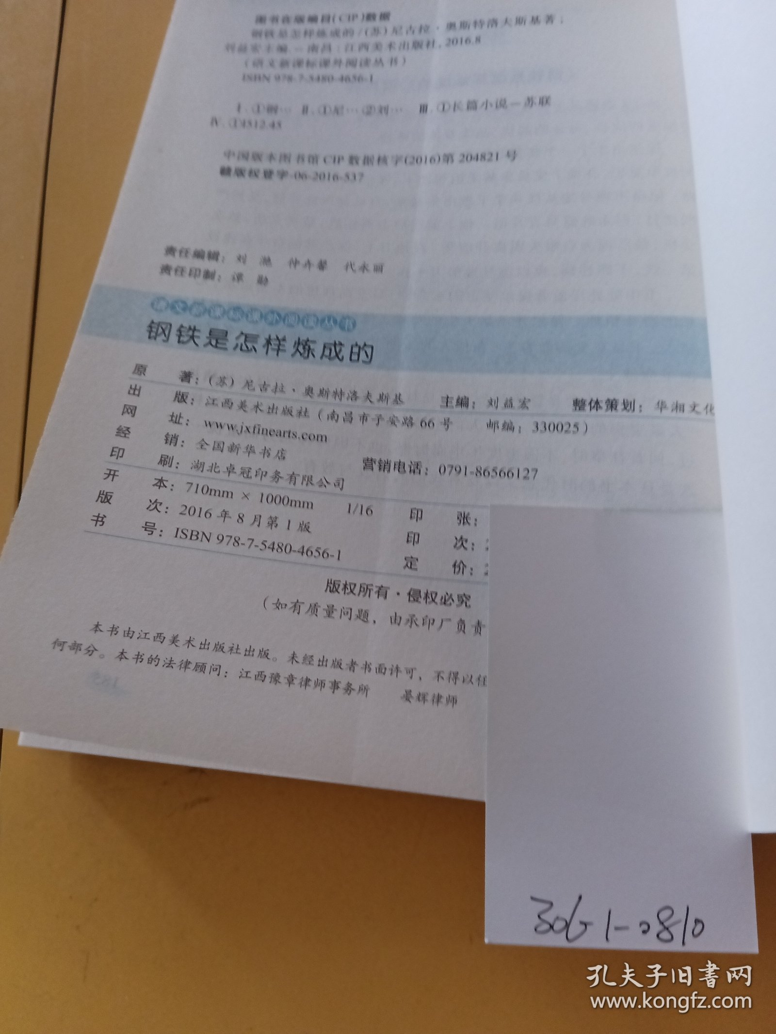 钢铁是怎样炼成的/语文新课标课外阅读丛书