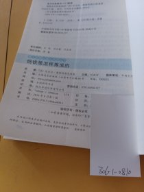 钢铁是怎样炼成的/语文新课标课外阅读丛书