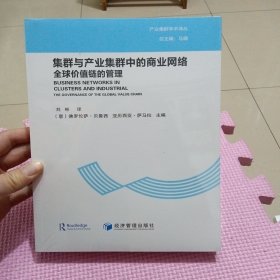 集群与产业集群中的商业网络全球价值链的管理（全新带塑封）