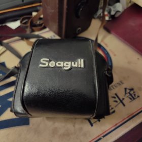 海鸥（Seagull）DF-102B相机