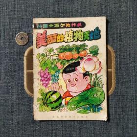美丽的植物天地