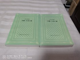 安娜·卡列宁娜 上下 全2册 外国文学名著丛书