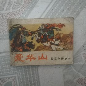 爱华山:说岳全传之二