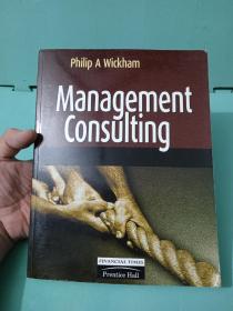 Management Consulting:Delivering an Effective Project 如图版本，实物拍照，介意慎拍