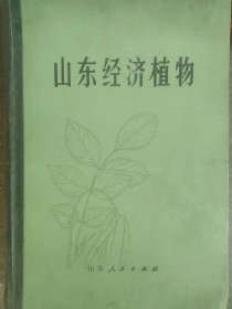 精装 山东经济植物