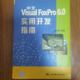中文Visual FoxPro 6.0实用开发指南
