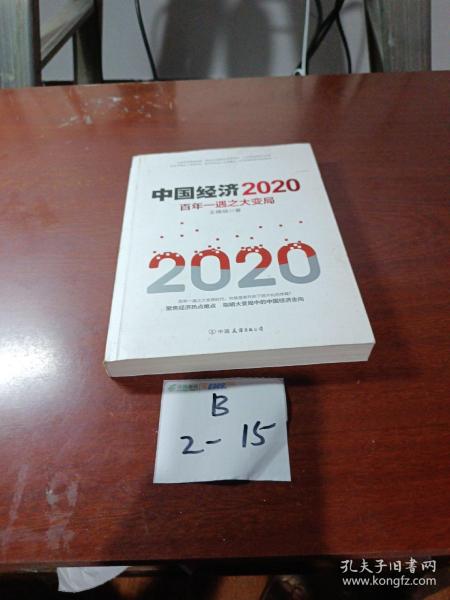 中国经济2020