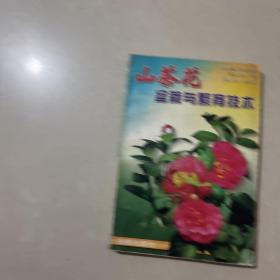山茶花盆栽與繁育技術(shù)