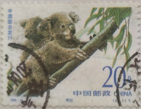 中澳联合发行《珍稀动物》特种纪念邮票之“考拉